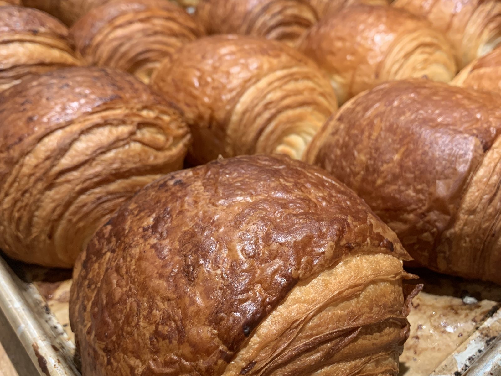 A tray of chocolate croissants fresh from the oven