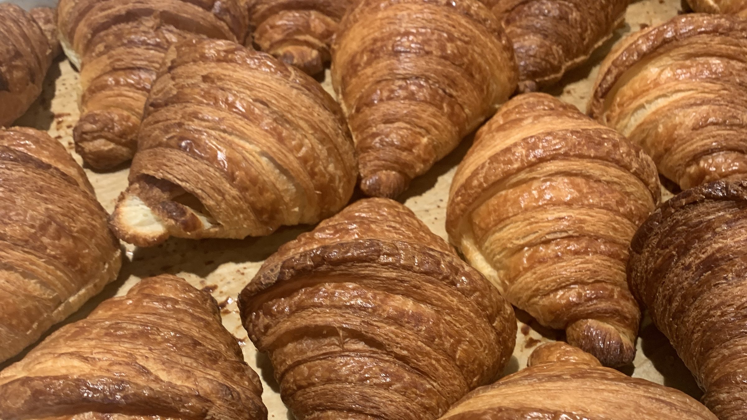 Plain butter croissants fresh from the oven