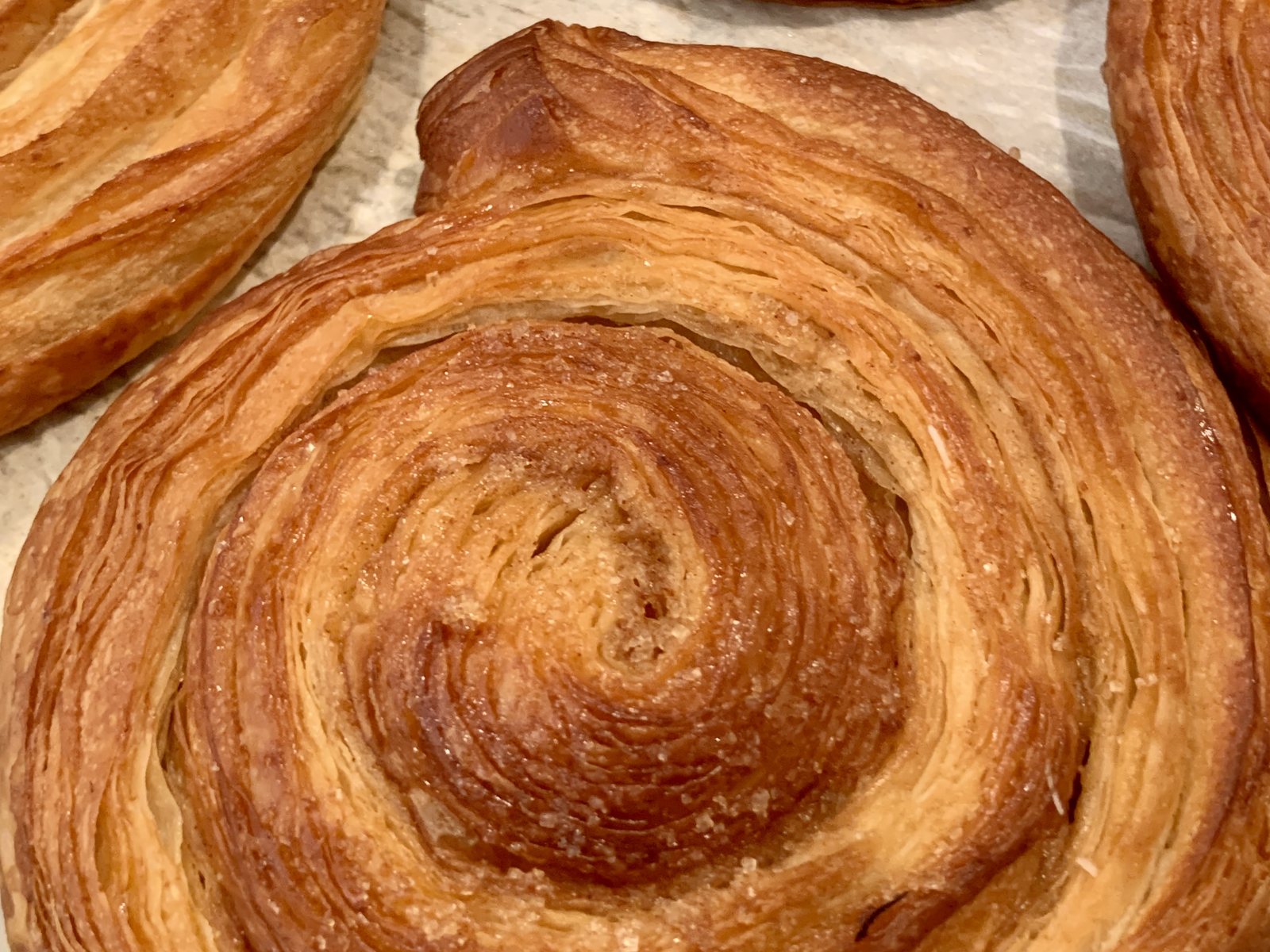 A spiral cinnamon snail with a caramelized sugar crust