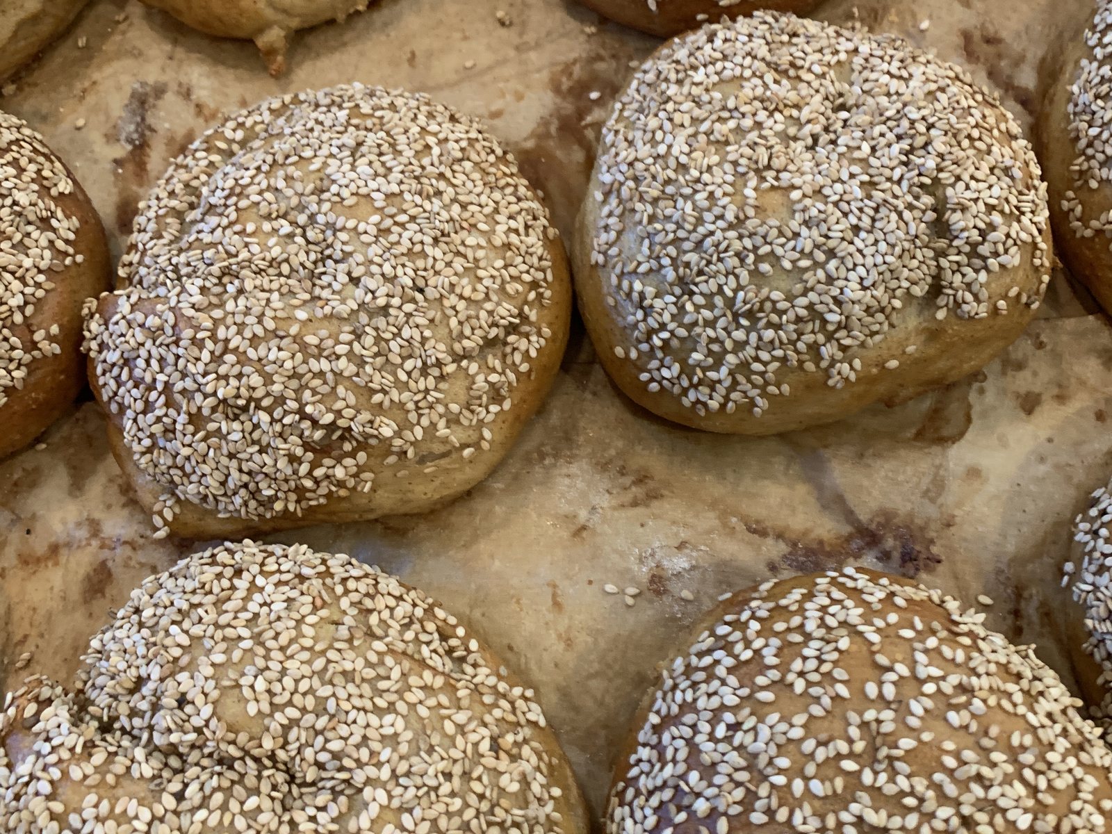 Sesame bagels on a baking tray