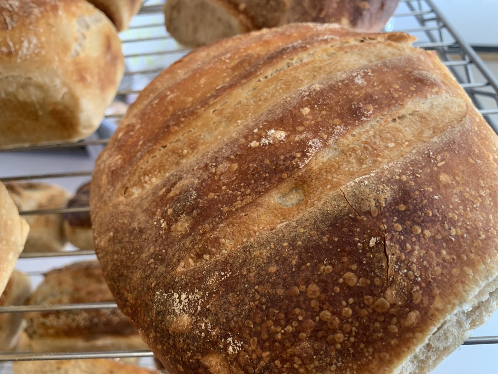 A round sourdough boule with a deeply scored, blistered crust